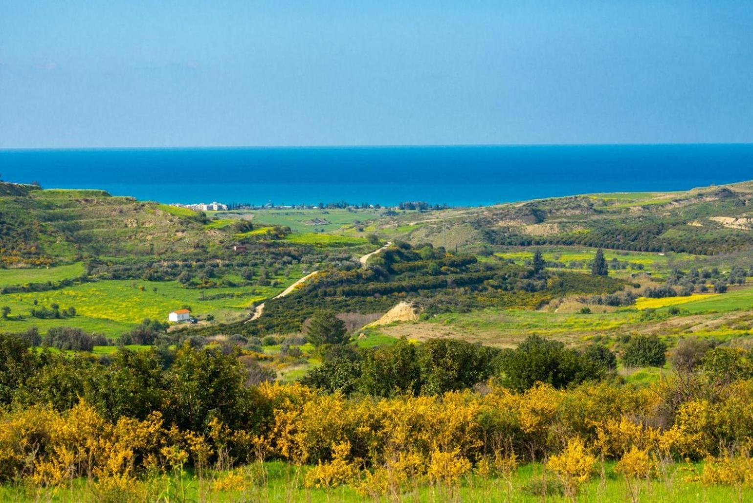 Rallo Villa Paphos